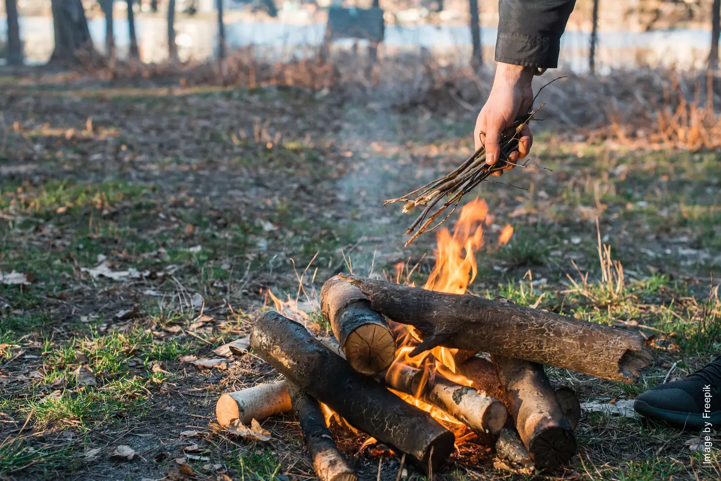 fuoco bosco sterpaglie